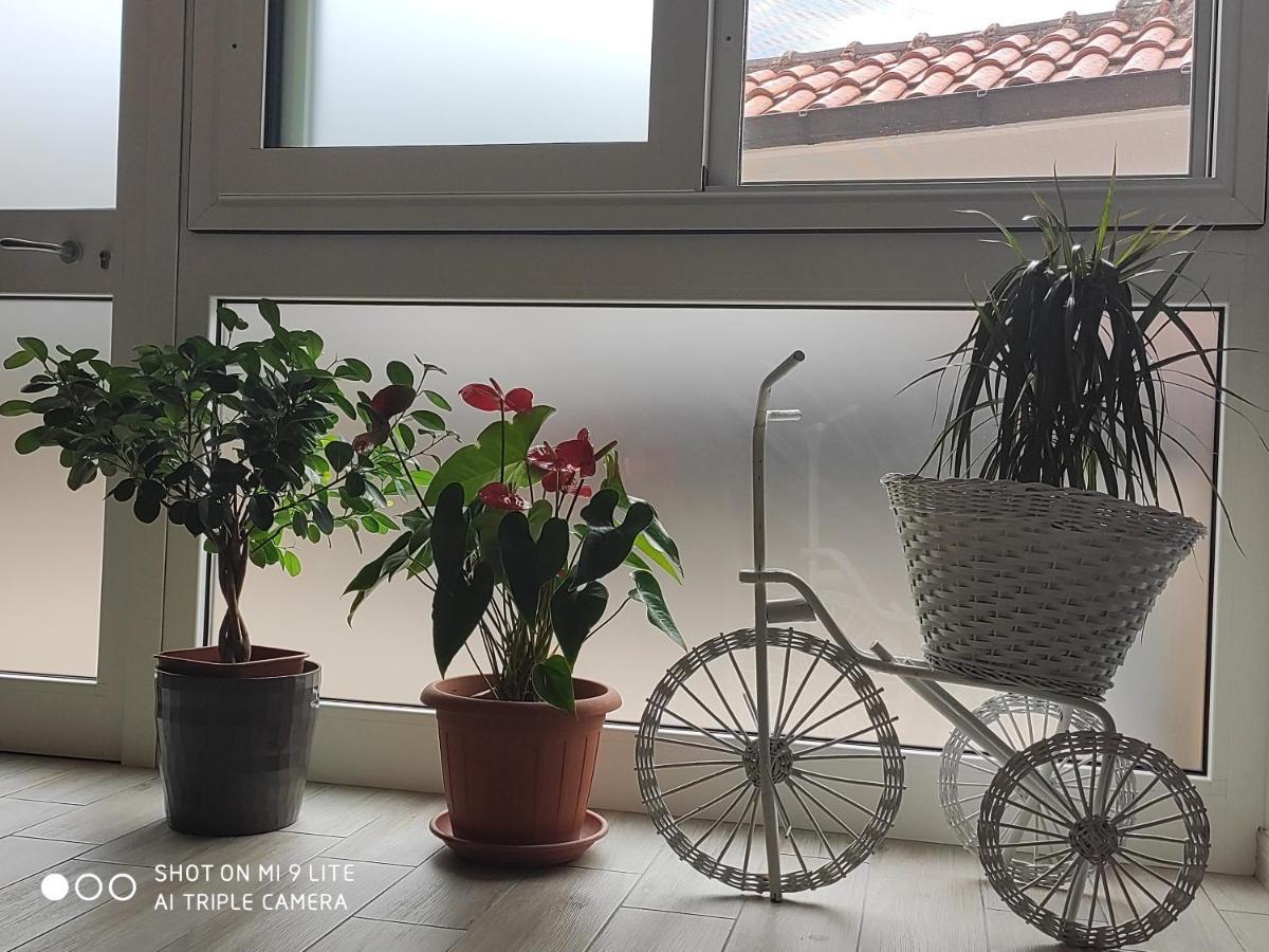 Il Labirinto Bed and Breakfast Σουλμόνα Εξωτερικό φωτογραφία